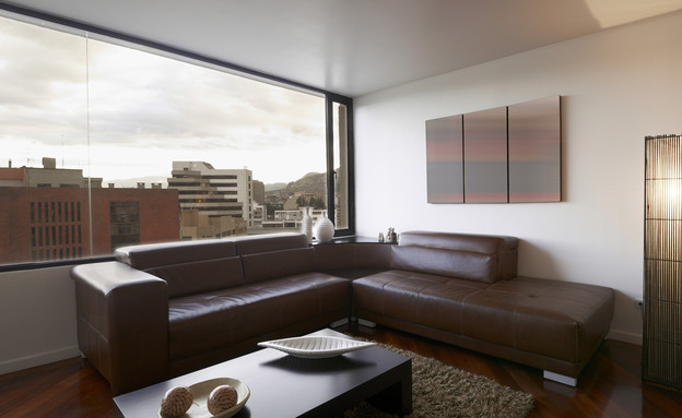 הסלון של עמרי (צילום: Shutterstock)