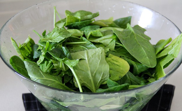 קיש אביבי - התרד קיש אביבי - התרד