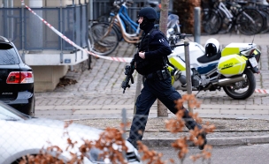 המשטרה הדנית בפעולה. ארכיון (צילום: AP)