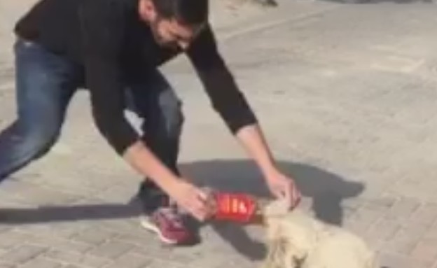 החילוץ בבית שאן (וידאו WMV: מתוך "בית שאן אוהבת חיות")