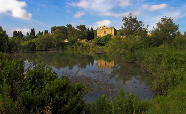 שמורת עין אפק (צילום: רשות הטבע והגנים, יחסי ציבור)