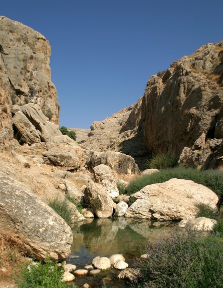 נחל פרת (צילום: רשות הטבע והגנים, יחסי ציבור)