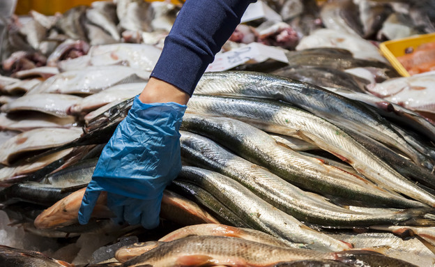 שוק דגים (צילום: Shutterstock)