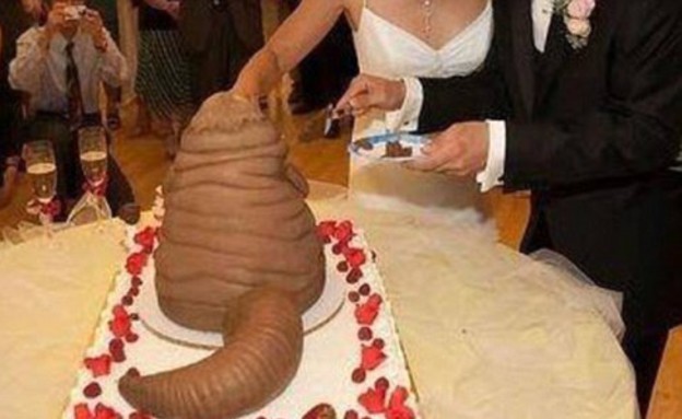 עוגות חתונה כושלות (צילום: dailymail)