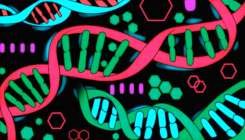 DNA צבעוני