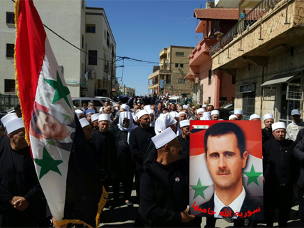 הפגנת תמיכה במשטר אסד (צילום: חדשות 2)