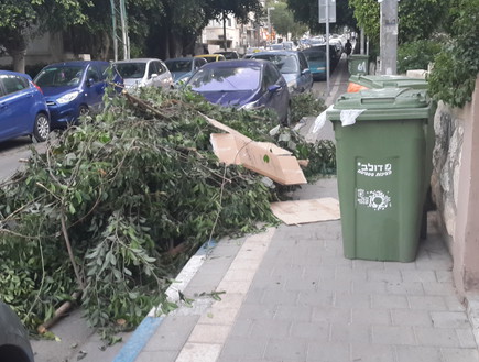 מכות אורבניות, מחסומים בדרך (צילום: קליה מור)