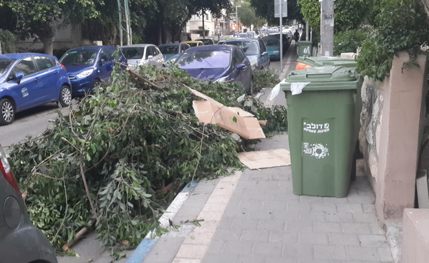 מכות אורבניות, מחסומים בדרך (צילום: קליה מור)