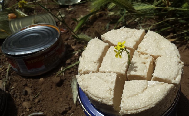 חווויות מהמילואים (צילום: שי לוי)