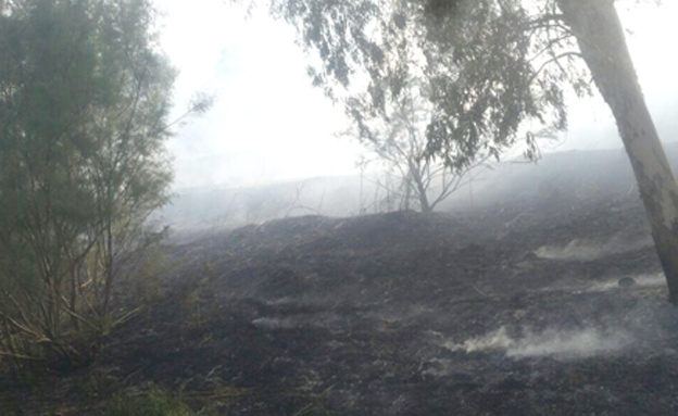 השריפה בגשר הפקק, היום (צילום: דוברות כבאות והצלה מחוז צפון)