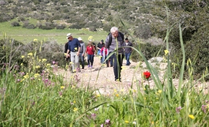 מטיילים. ארכיון