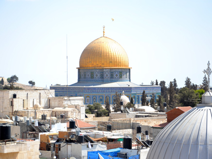 הר הבית, ירושלים, אל אקצא (צילום: עמית ולדמן, חדשות 2)