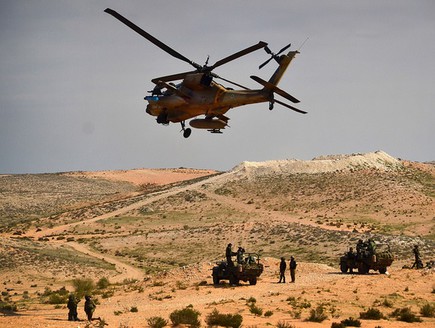 סיכולים ממוקדים (צילום: דובר צה