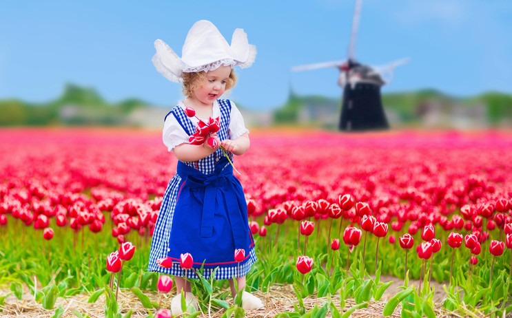 ילדה בשדה פרחים אמסטרדם ארקיע (צילום: Shutterstock)