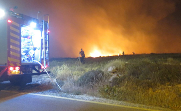 השריפה בנגוהות, הלילה (צילום: דניאל גלעד/TPS)