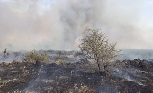 שריפת קוצים בצפון הכנרת, היום (צילום: דוברות כבאות והצלה מחוז צפון)