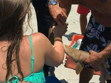כריש קטן תקף בפלורידה (צילום: SKY NEWS)