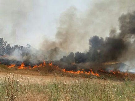 שריפה  בשפלה, היום (צילום: דוברות כבאות והצלה מחוז ירושלים)