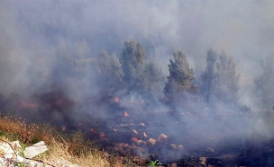 השריפה במודיעין עילית, הערב (צילום: דוברות כב"ה יו"ש)