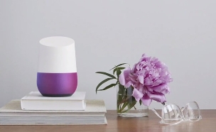 Google Home (צילום: גוגל)