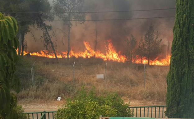 שריפה סמוך לאלעד (צילום: אהוד אמיתון/TPS)