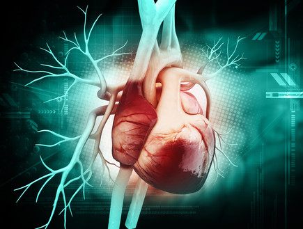 לב (צילום: Liya Graphics, Shutterstock)