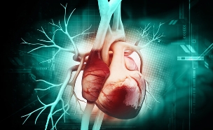 לב (צילום: Liya Graphics, Shutterstock)