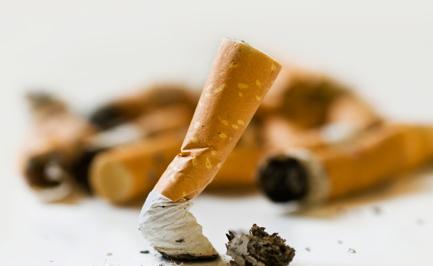 סיגריה (צילום: NeydtStock, Shutterstock)