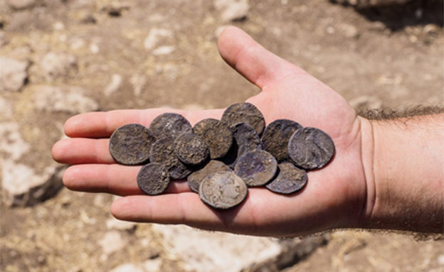 המטבעות שנמצאו (צילום: אסף פרץ, רשות העתיקות)