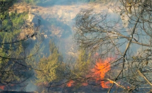 שריפה במבשרת ציון (צילום: חדשות 2)