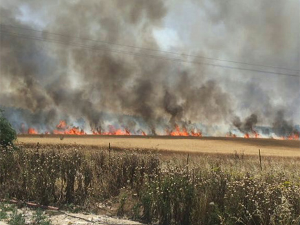 אחת מהשריפות ליד לוזית (צילום: כבאות ירושלים)