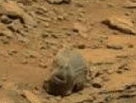 גולגולת על מאדים (צילום: יוטיוב)