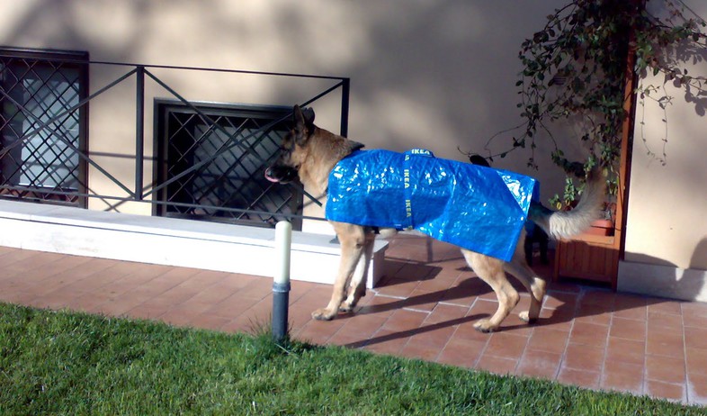 פרקטה מעיל לכלב (צילום: מתוך אתר Jules Yap ikeahackers)