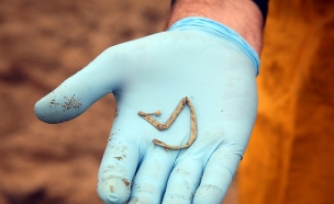 יד מחזיקה תולעת (אילוסטרציה: Shutterstock)