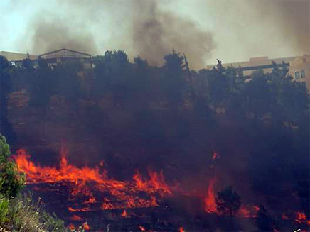 שריפה בכניסה לירושלים (צילום: גל אביטבול)