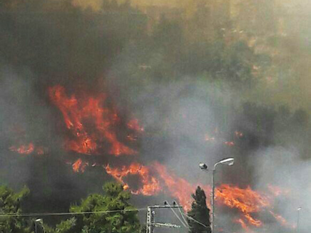 שריפה בירושלים (צילום: דוברות כבאות והצלה ירושלים)