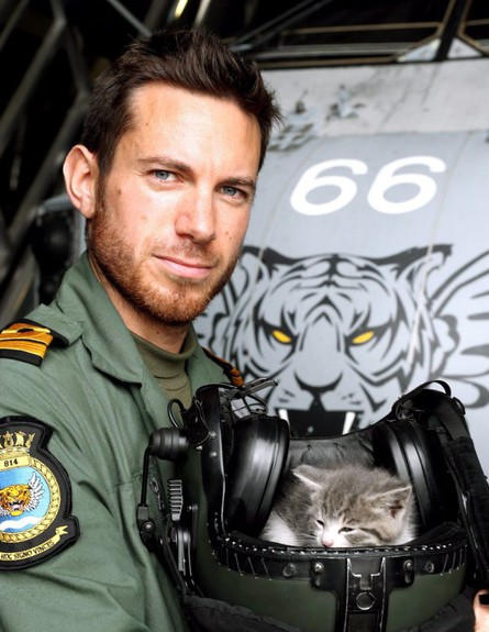 הטייס שהציל חתול (צילום: חיל הים המלכותי)