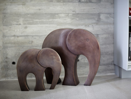 פילים (צילום: ליאור אביטן)