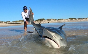 ציידי כרישים (צילום: ג'וש בטרוורת')