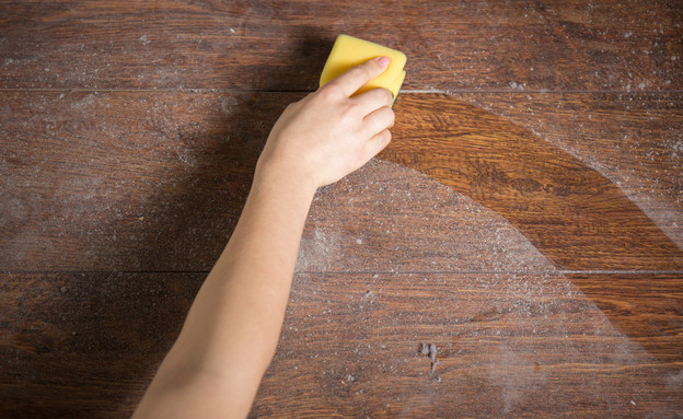 לנקות אבק (צילום: Photographee.eu, Shutterstock)