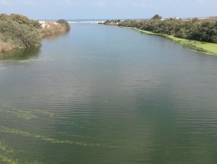 נחל אלכסנדר המזוהם (צילום: RECO)