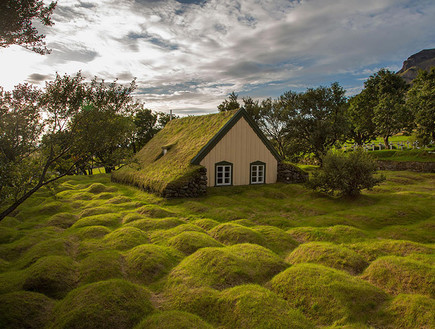 Hofskirkja איסלנד (צילום: Menno Schaefer)