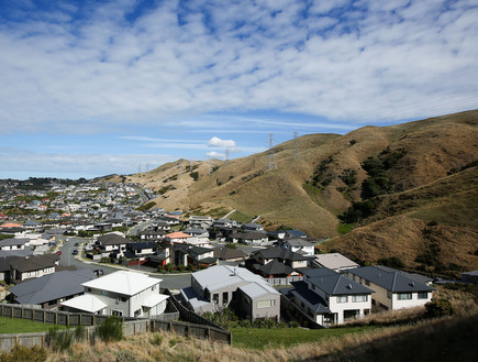בתים בפרבר של וולינגטון, ניו זילנד (צילום: Hagen Hopkins, GettyImages IL)