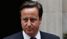דיויד קמרון ראש ממשלת בריטניה (צילום: חדשות 2)