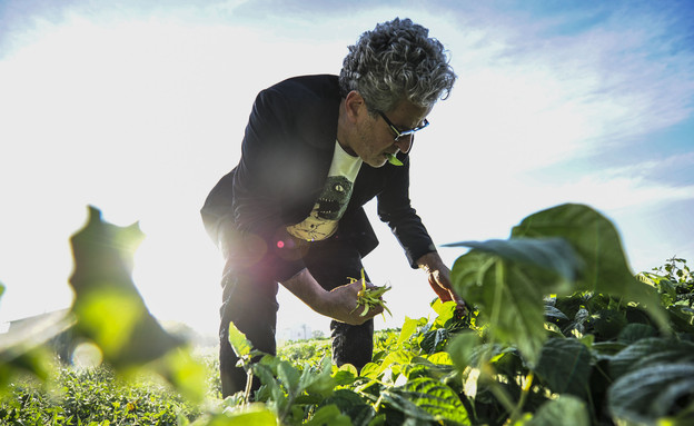 השפים מתכוננים לארוחה המסכמת