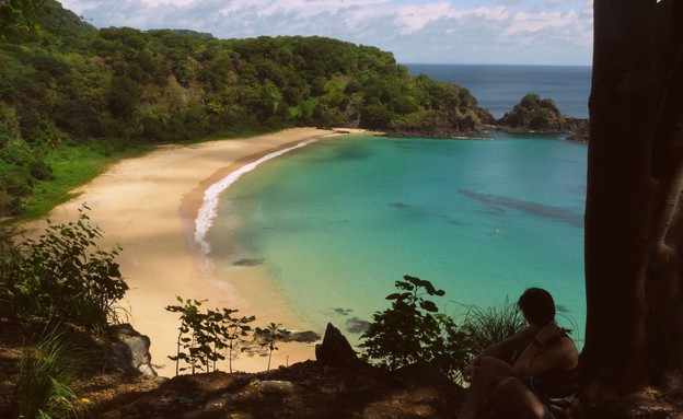 חוף באיה דו סנקו, ברזיל (צילום: Nacho Such, Shutterstock)