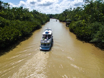 נהר האמזונס (צילום: Filipe Frazao, Shutterstock)