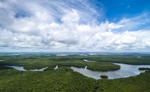 נהר האמזונס (צילום: Gustavo Frazao, Shutterstock)