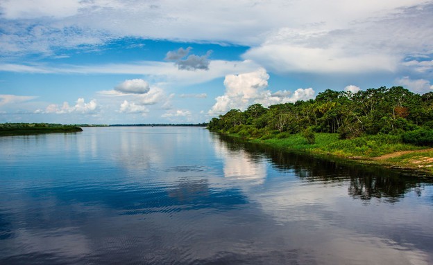 נהר האמזונס (צילום: Christian Vinces, Shutterstock)