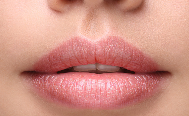 שפתיים (צילום: Shutterstock/Valentina Razumova)